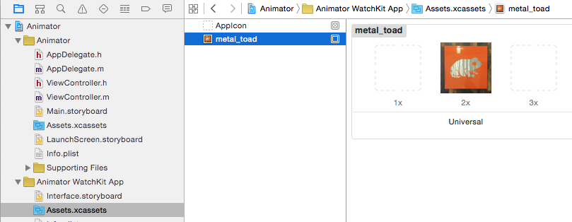 Watchkit assets belong in the WatchKit App