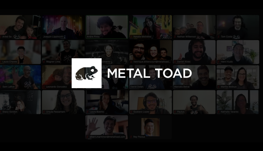 What does Metal Toad do?