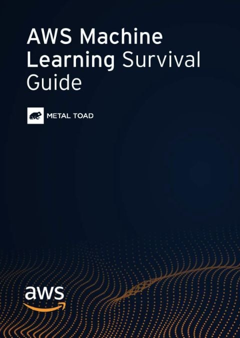 aws-machine-learning-survival-guide-thumb